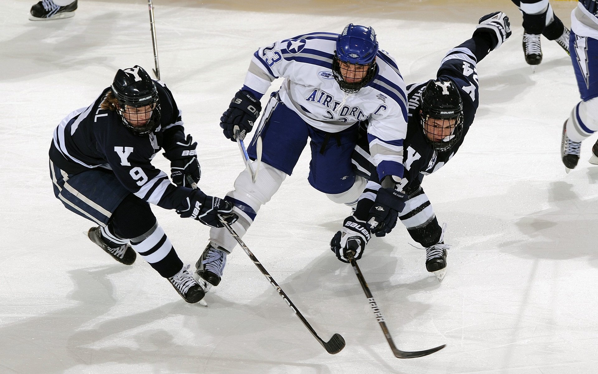 字母哥无敌!雄鹿126-110击败公牛,谁是赢球功臣?数据不会说谎,雄鹿字母哥顶薪续约